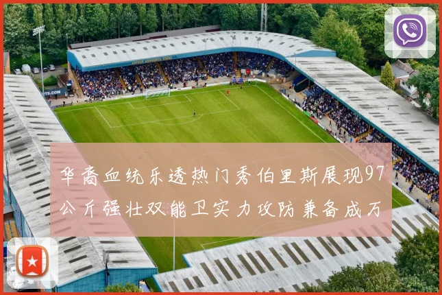 华裔血统乐透热门秀伯里斯展现97公斤强壮双能卫实力攻防兼备成万金油之选